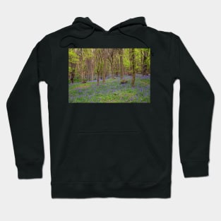 Margam Forest Bluebells Hoodie